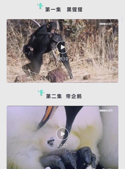 天一影院观看的相关介绍
