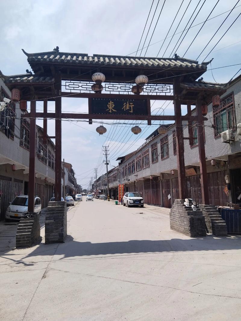 18禁网站在线免费观看的相关介绍