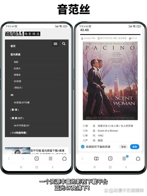 丹东华臣影院今日影讯的相关介绍
