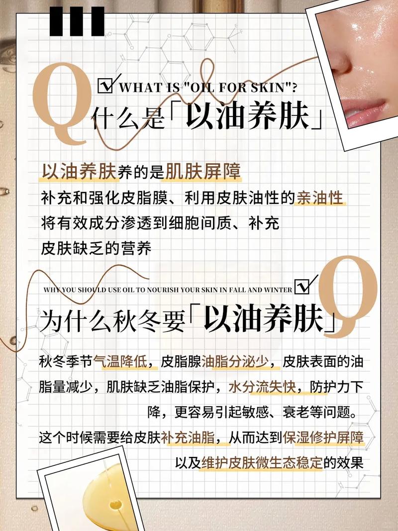 高清不卡码二区的相关介绍