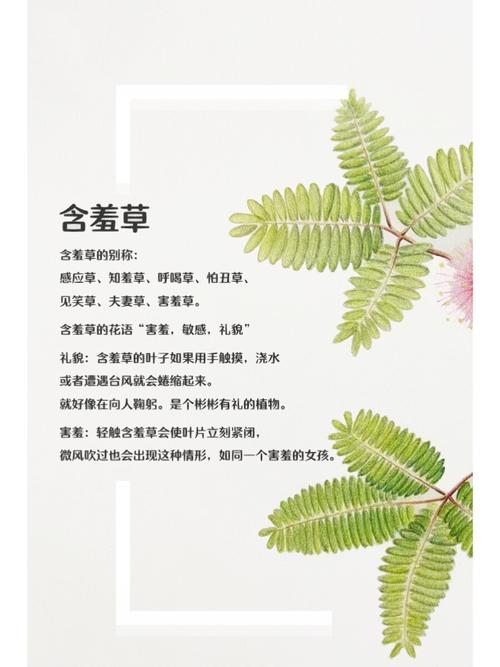 少妇熟女狠狠的相关介绍