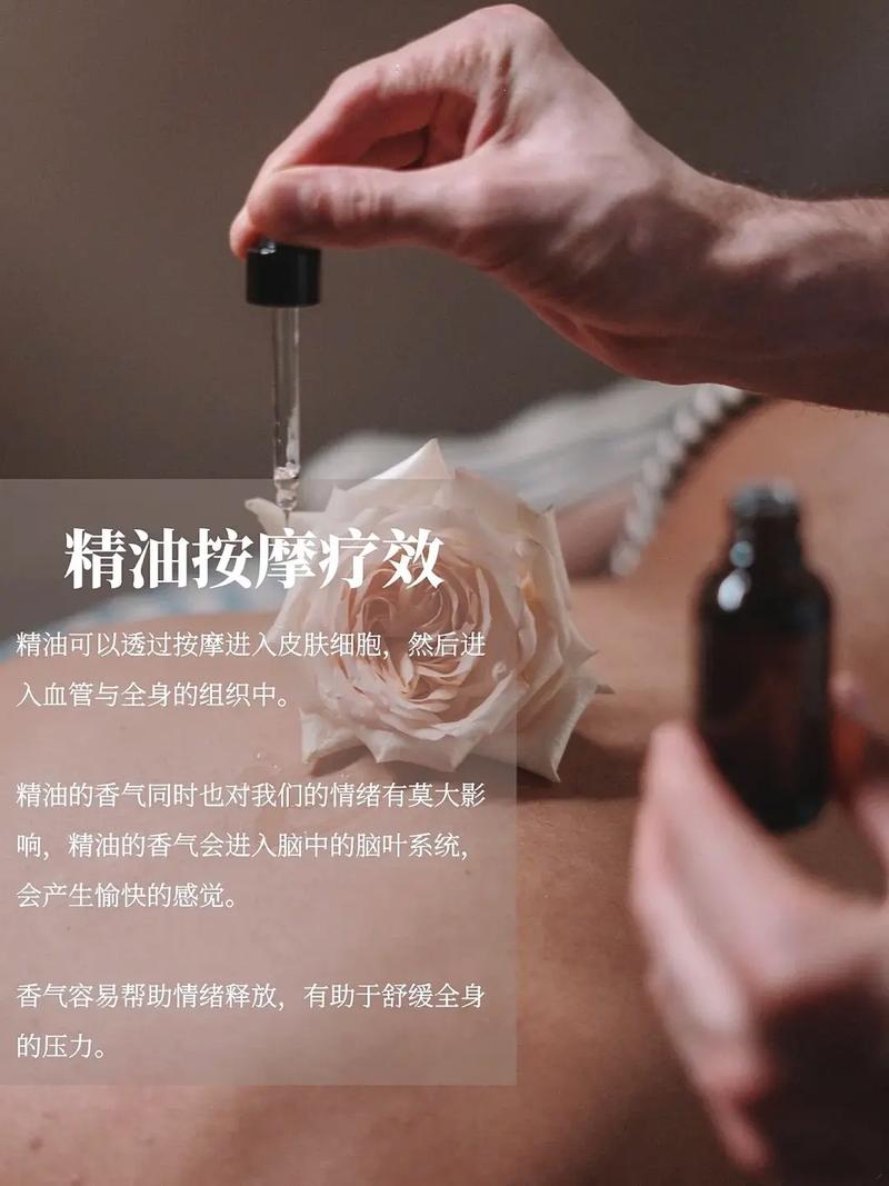 一区福利午夜的相关介绍