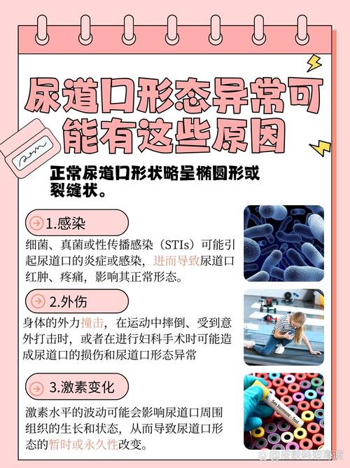 福利视频下载app的相关介绍