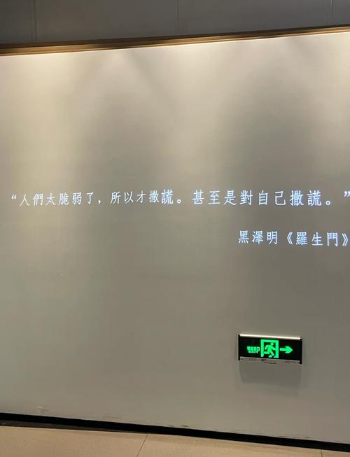 欧美深夜成人影院在线的相关介绍