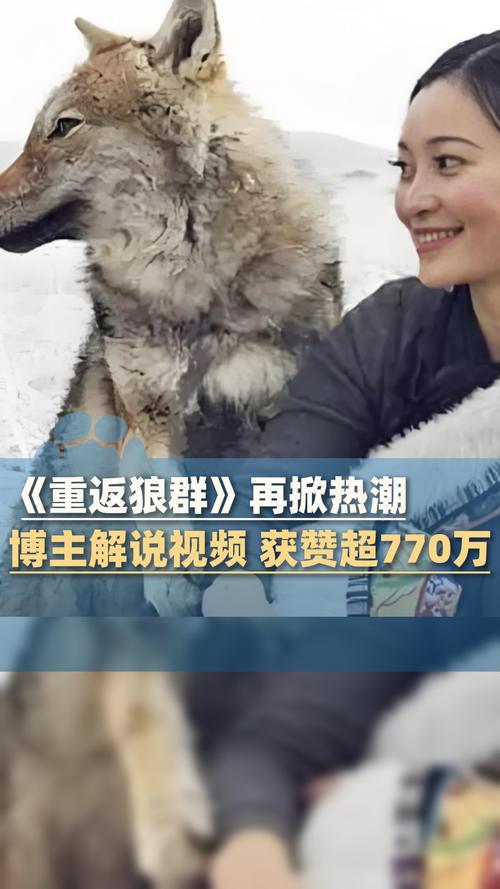少妇人妻美乳av乱码涩爱av的相关介绍