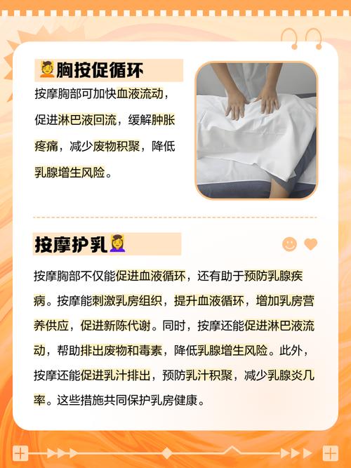 曹逼动漫的相关介绍