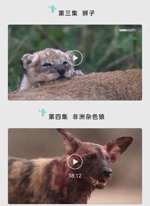 东京热精油按摩的相关介绍