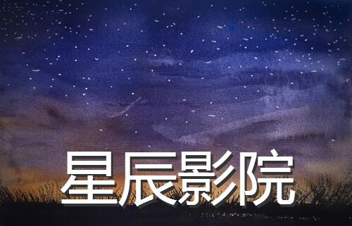 4080新视觉影院手机的相关介绍