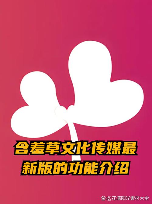 天使影院的相关介绍
