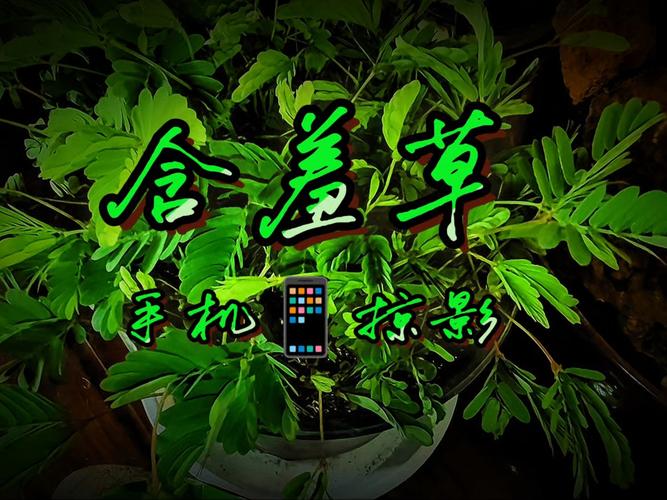 天堂va蜜桃一区二区三区最新版的相关介绍