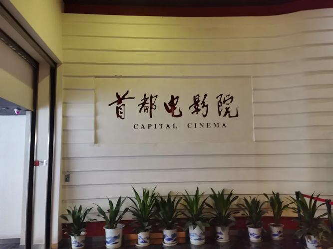 非常骚的少妇av的相关介绍