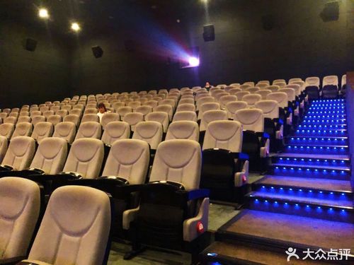 奇乐影院的相关介绍