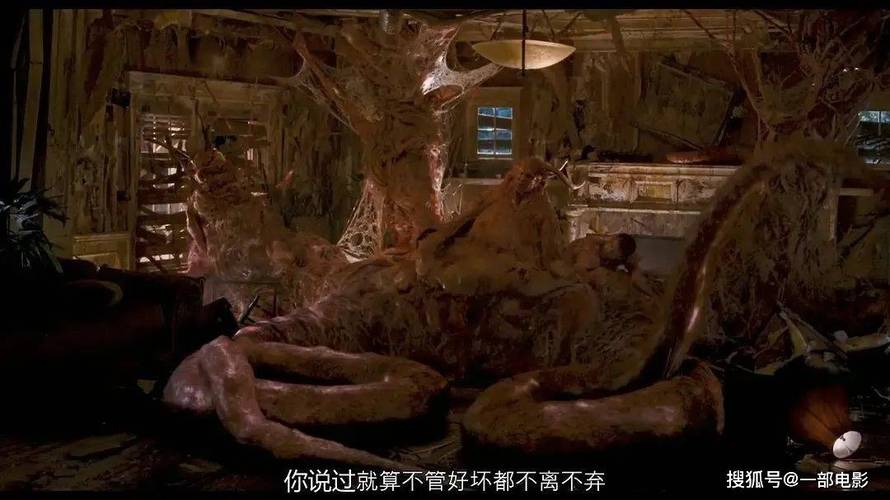 鞠婧祎被c到高潮嗯～啊～嗯嗯～小说的相关介绍