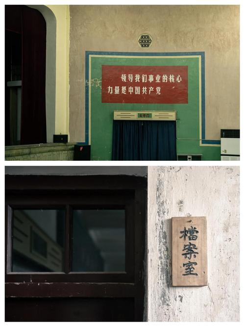 99精品久久毛片的相关介绍