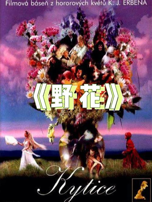 aaaaaabbbbbb毛片的相关介绍
