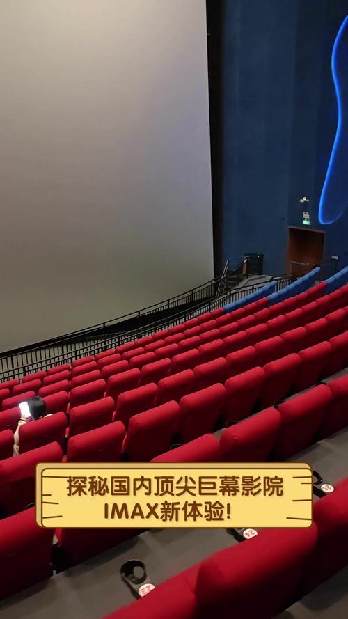 老湿电影院在线看的相关介绍