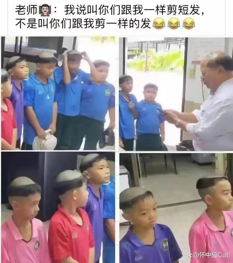 飞鸟影院的相关介绍