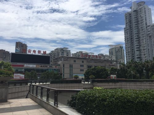 伊人影院金八天国的相关介绍