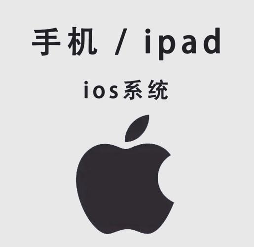 极速影院精简版官方下载安装的相关介绍