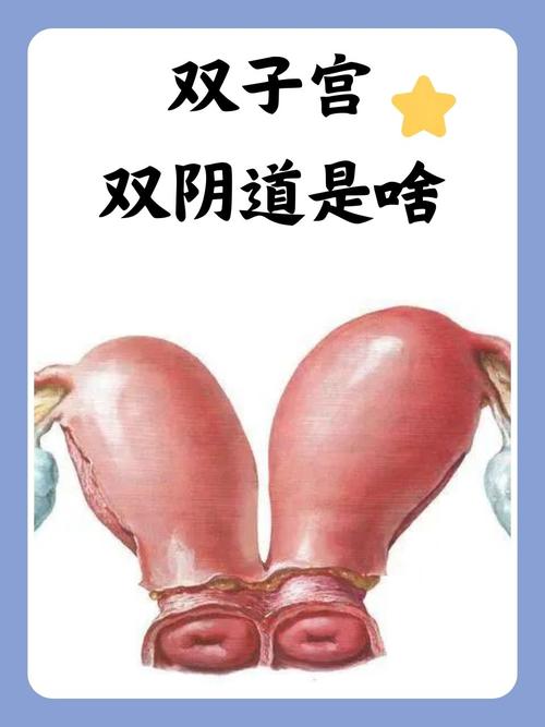 超淫巨乳的相关介绍