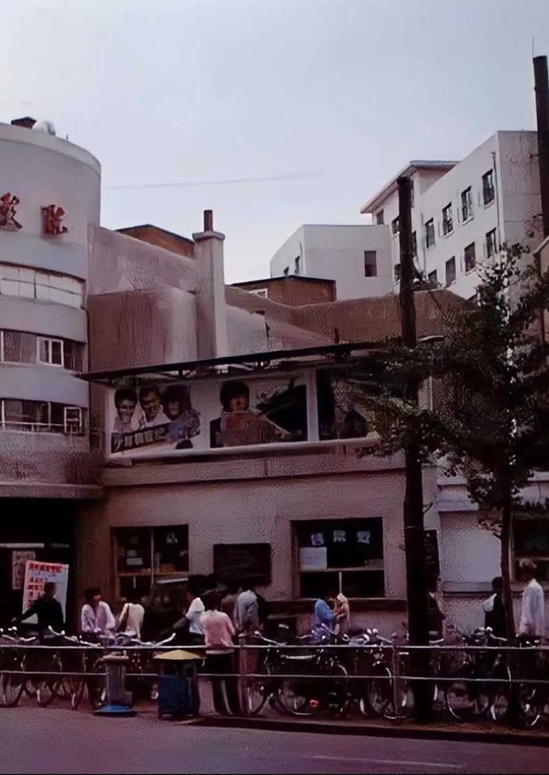 小科科视频app大全免费下载的相关介绍
