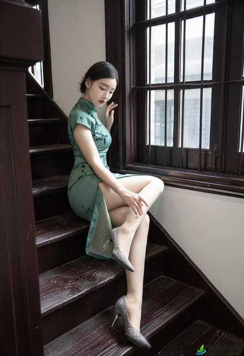 美女色男影院的相关介绍