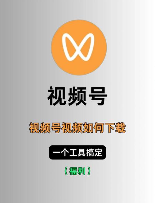 5g影院的相关介绍
