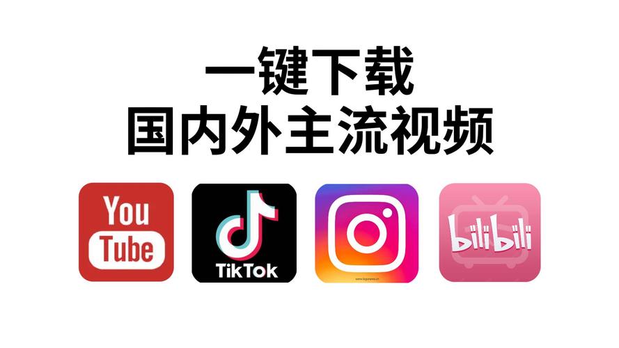 八妻子影院的相关介绍