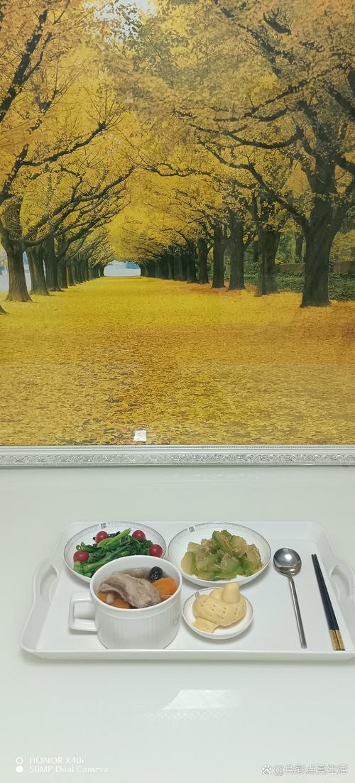 新娘被轮辣文的相关介绍