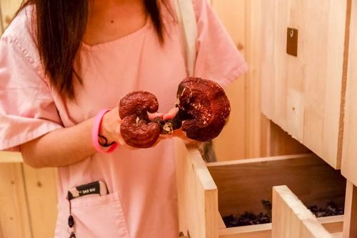 午夜影院顶级大片app的相关介绍