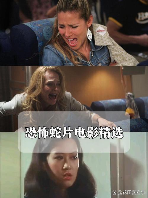 成熟女人看毛片www的相关介绍