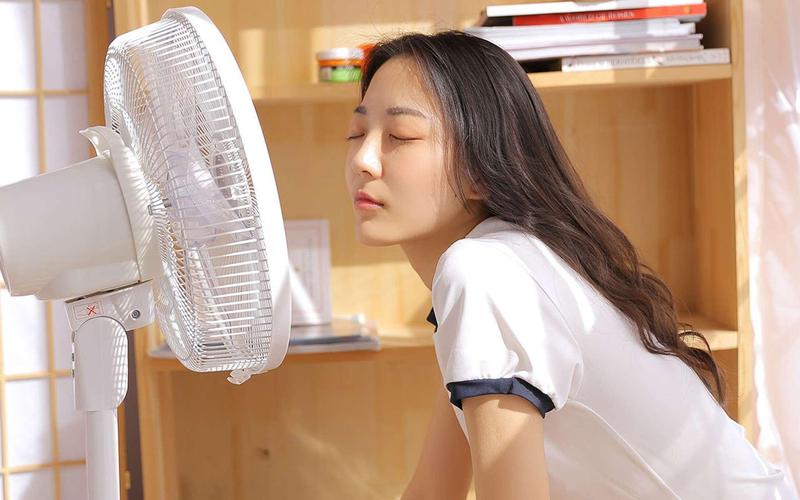 欧美风骚老熟妇的相关介绍