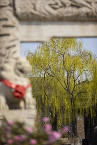 日本精油按摩网站的相关介绍
