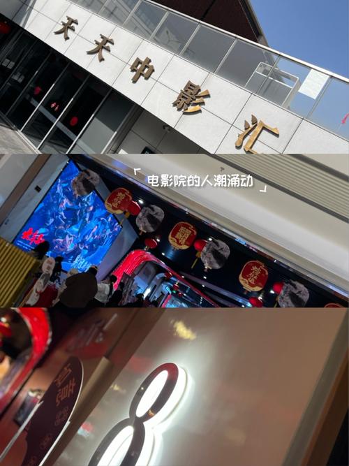 骚货操白浆的相关介绍
