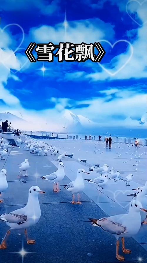 高清日韩毛片的相关介绍