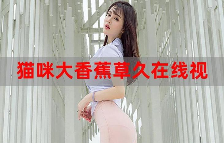 2b哥哥影院的相关介绍
