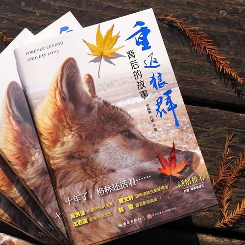 伦理按摩影片的相关介绍