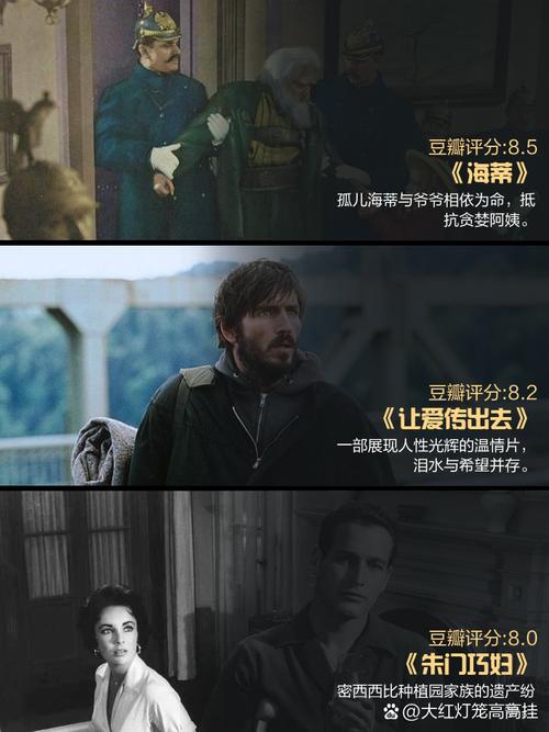 欧美精品久久sm的相关介绍