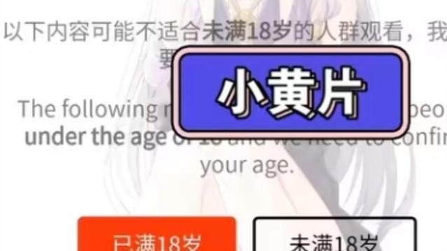 根据您的要求,生成一个SEO标题如下:
**十八岁禁止在线观看视频:未成年人防沉迷系统与家长监护指南**
*包含长尾关键词:未成年人防沉迷系统、家长监护指南、青少年健康上网*