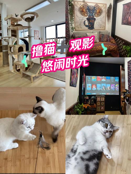 av中字少妇的相关介绍