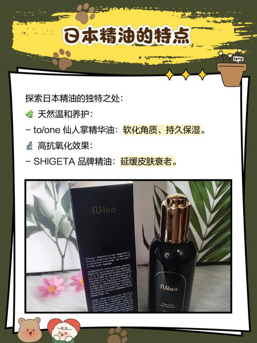 私人情侣影院加盟的相关介绍