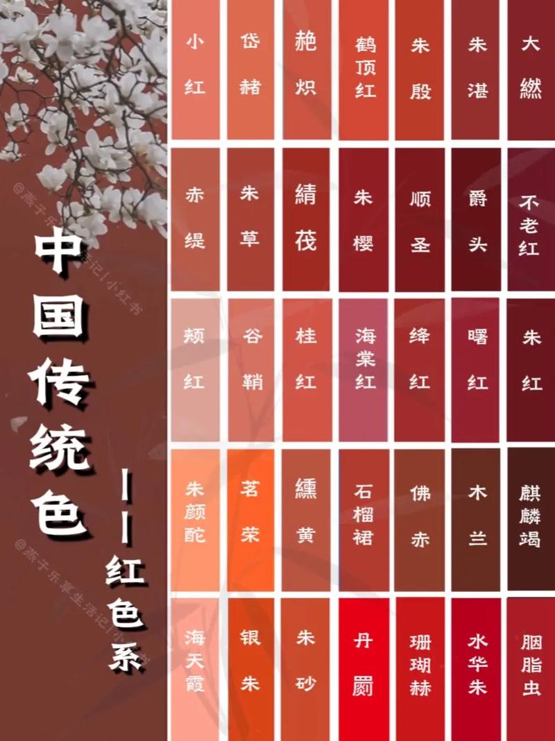 新视野影院的相关介绍