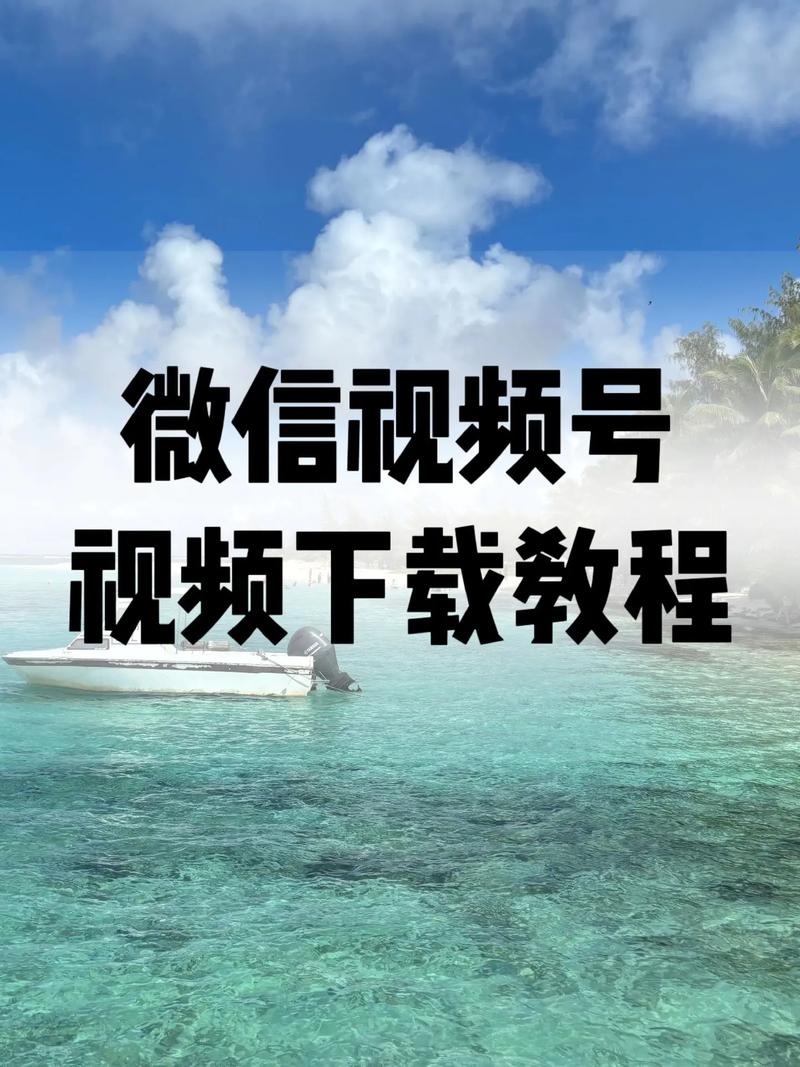 五一电影院上映的电影的相关介绍