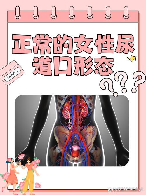 美女老师被我操视频网站的相关介绍