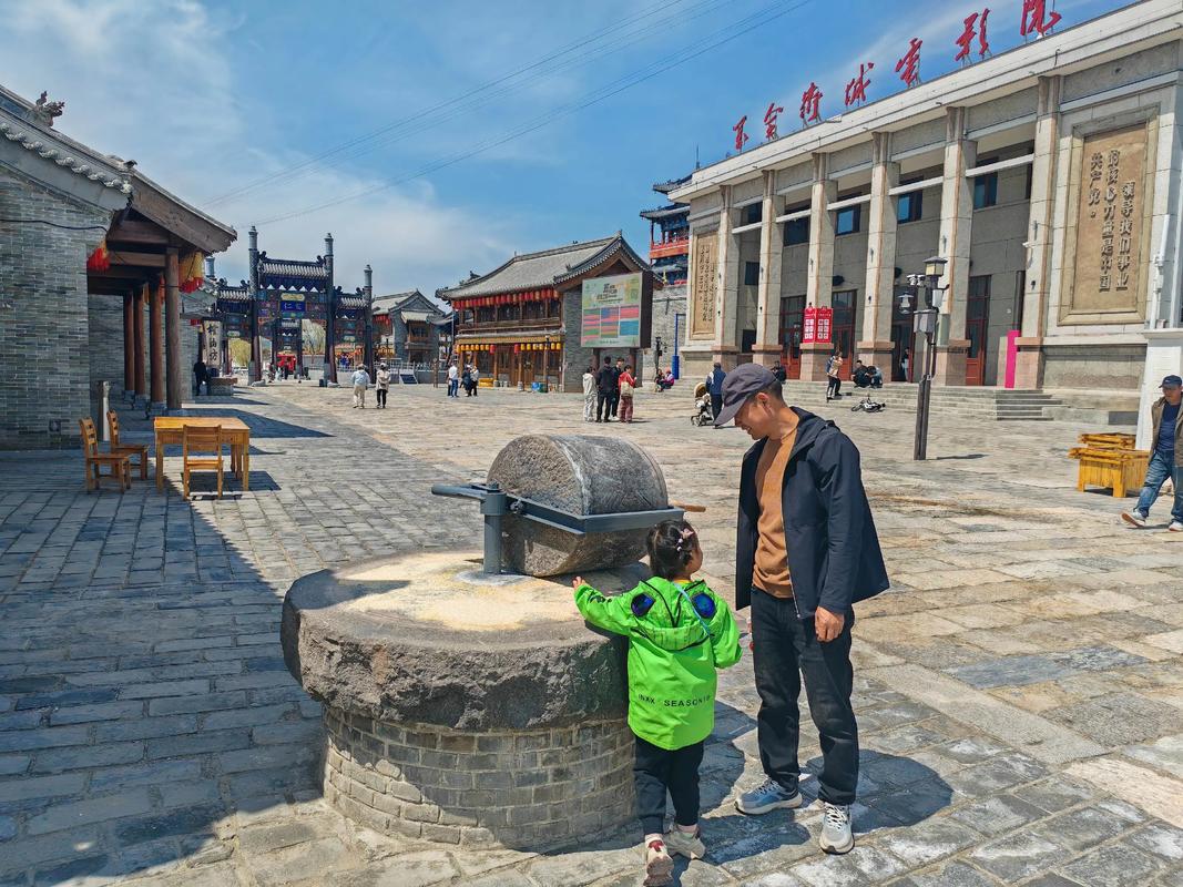 免费真人视频app下载的相关介绍
