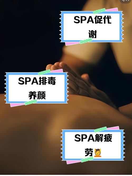 成人在线av影院的相关介绍