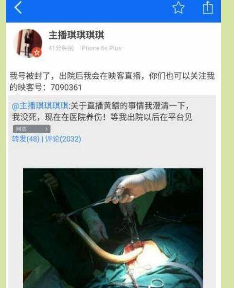 欧美在线人妻的相关介绍