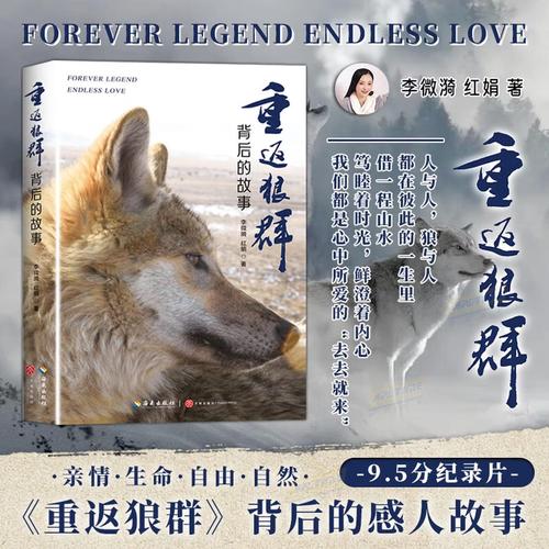 恋夜影院的相关介绍