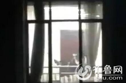 sm精品国产的相关介绍