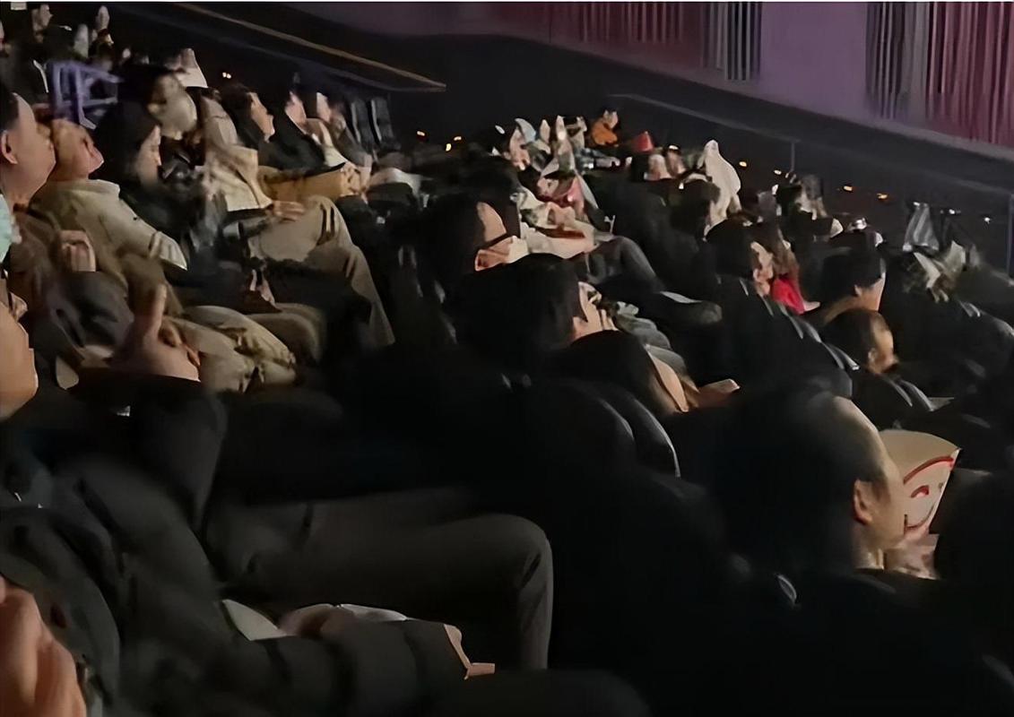 网上电影院的相关介绍